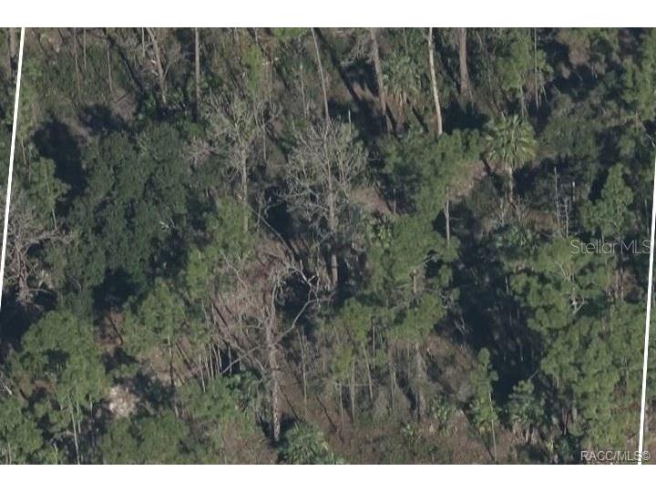 7610 18th Terrace Labelle FL 33935 OM673873 image1