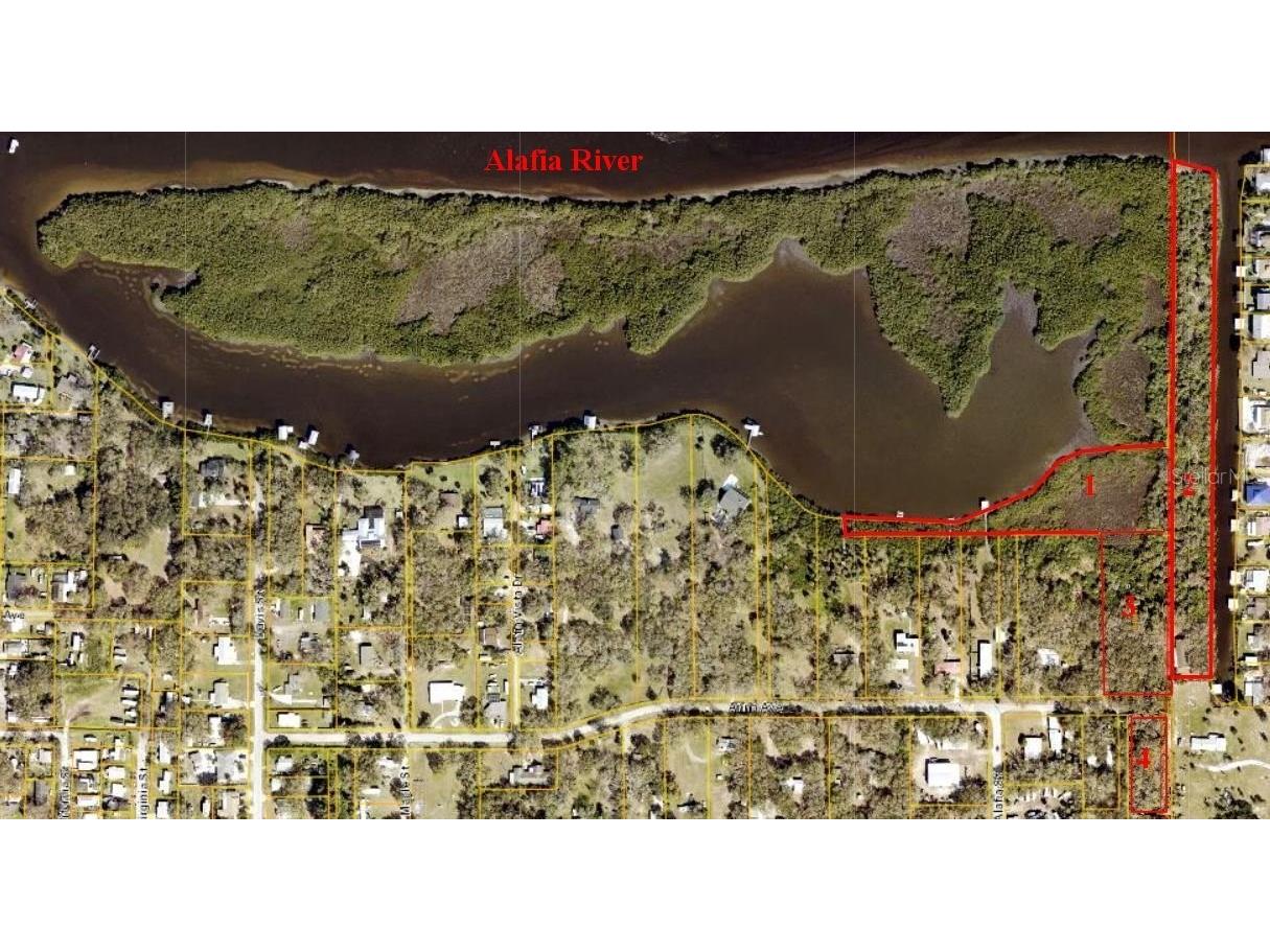 7610 Anna Avenue Gibsonton FL 33534 - ALAFIA RIVER W7875221 image2