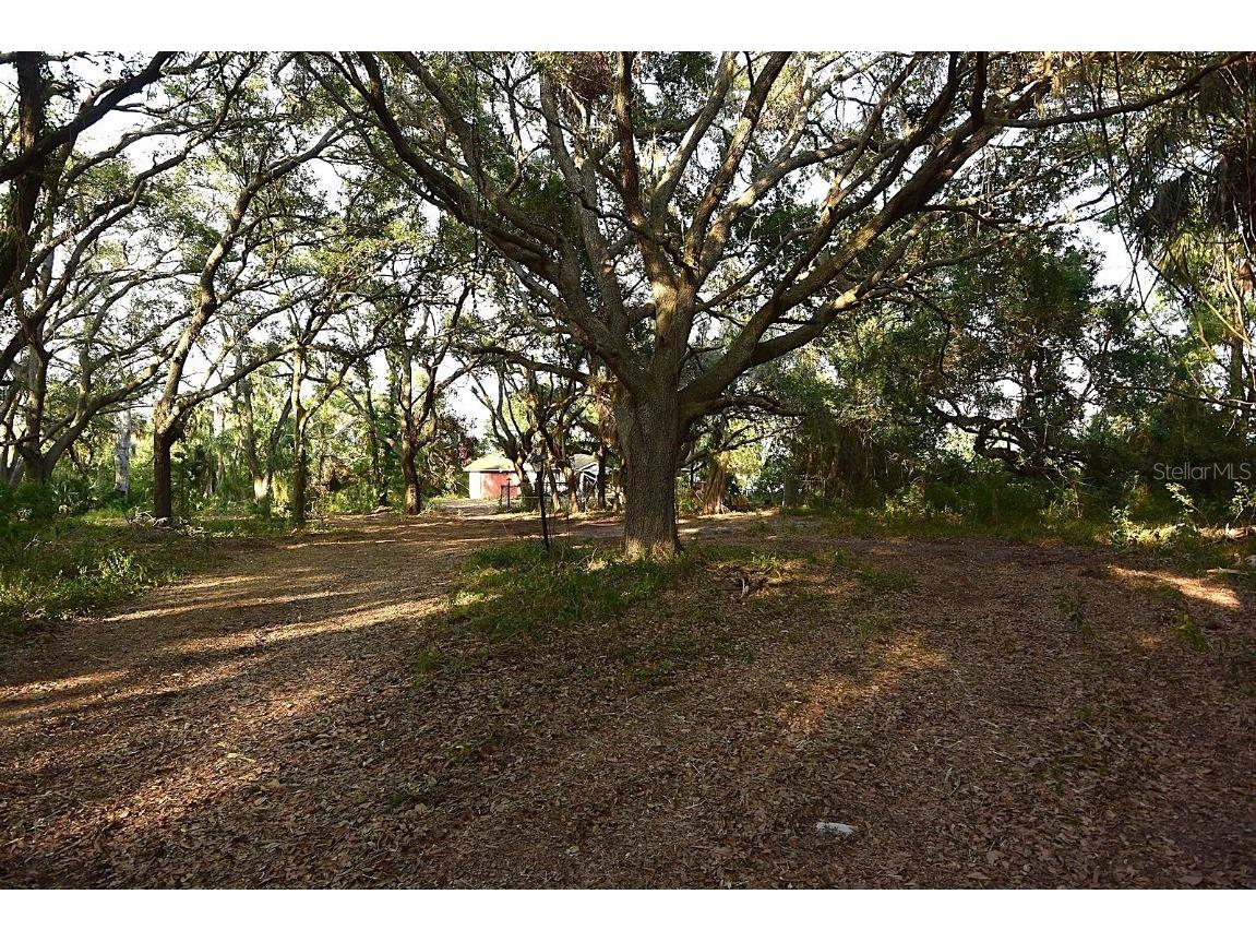 7610 Anna Avenue Gibsonton FL 33534 - ALAFIA RIVER W7875221 image4