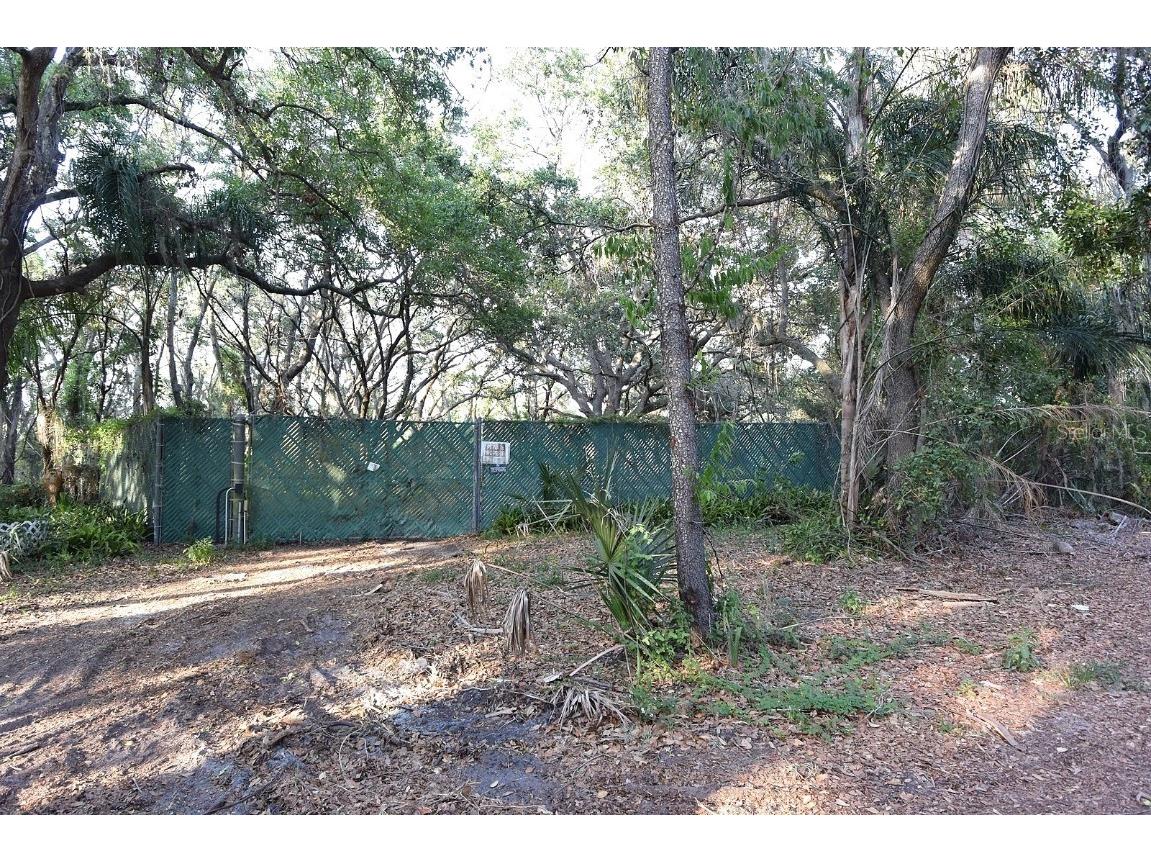 7610 Anna Avenue Gibsonton FL 33534 - ALAFIA RIVER W7875221 image41