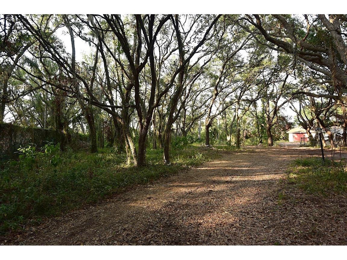 7610 Anna Avenue Gibsonton FL 33534 - ALAFIA RIVER W7875221 image5