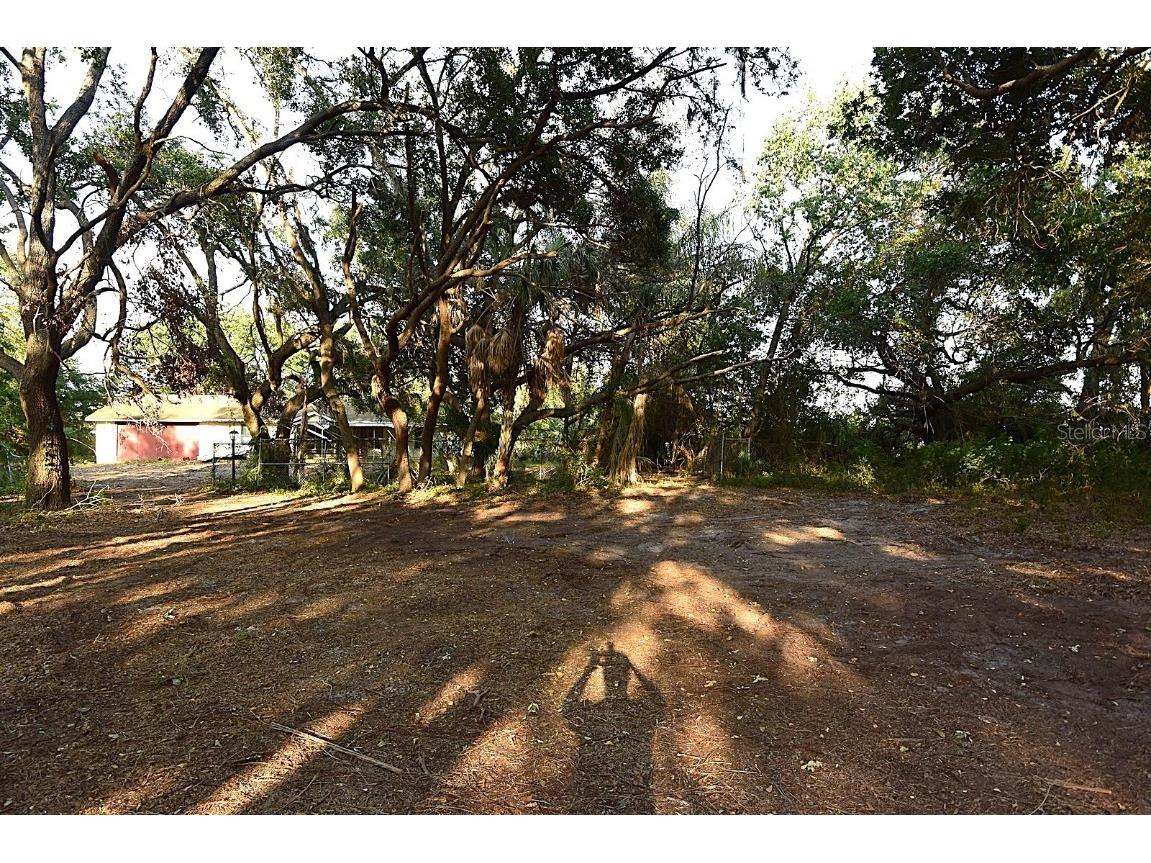 7610 Anna Avenue Gibsonton FL 33534 - ALAFIA RIVER W7875221 image6