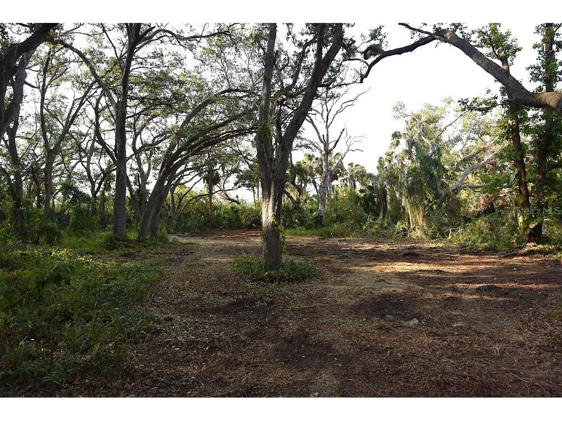 7610 Anna Avenue Gibsonton FL 33534 - ALAFIA RIVER W7875221 image7