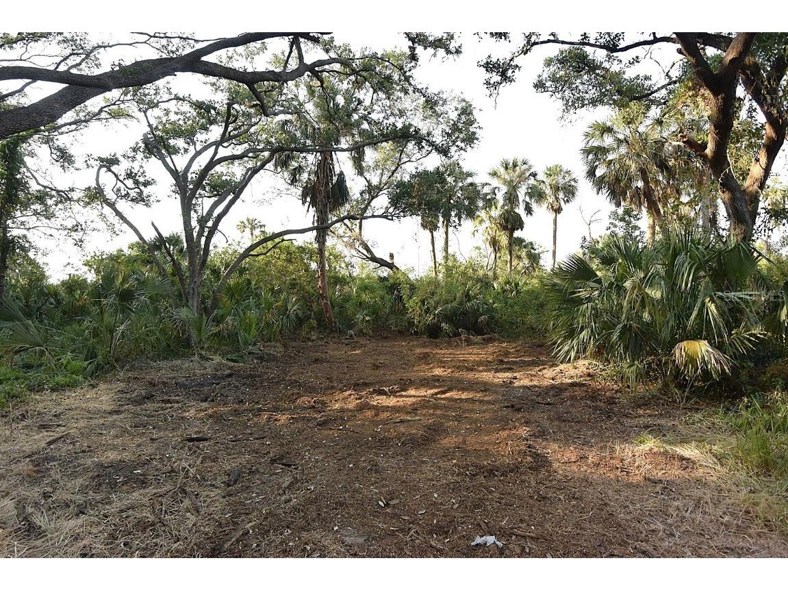 7610 Anna Avenue Gibsonton FL 33534 - ALAFIA RIVER W7875221 image8