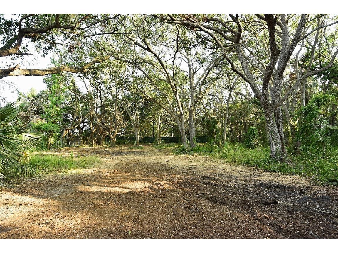 7610 Anna Avenue Gibsonton FL 33534 - ALAFIA RIVER W7875221 image9