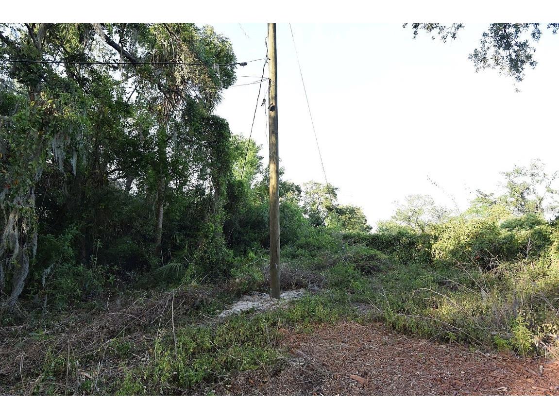 7610 Anna Avenue Gibsonton FL 33534 - ALIFIA RIVER W7878795 image36