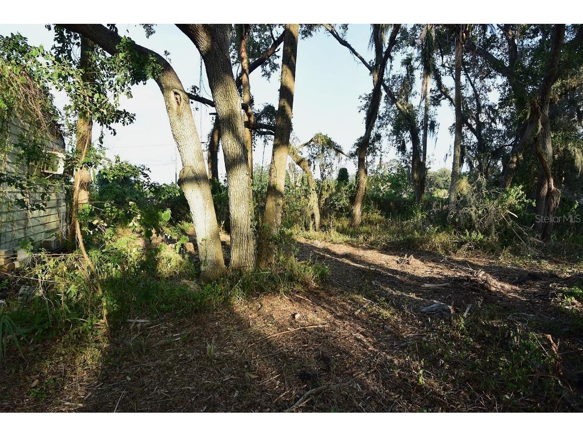 7610 Anna Avenue Gibsonton FL 33534 - ALIFIA RIVER W7878795 image43