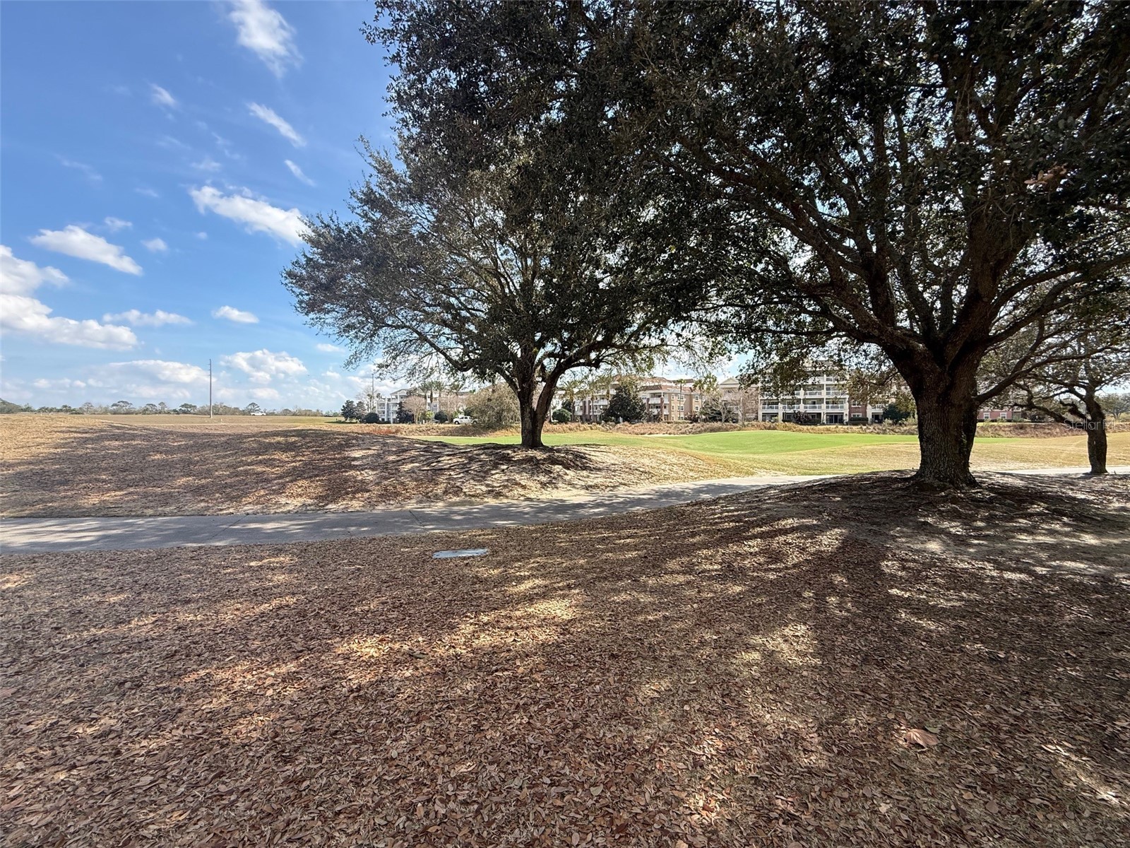 7610 Sandy Ridge Drive #304 Reunion FL 34747 TB8478502 image21