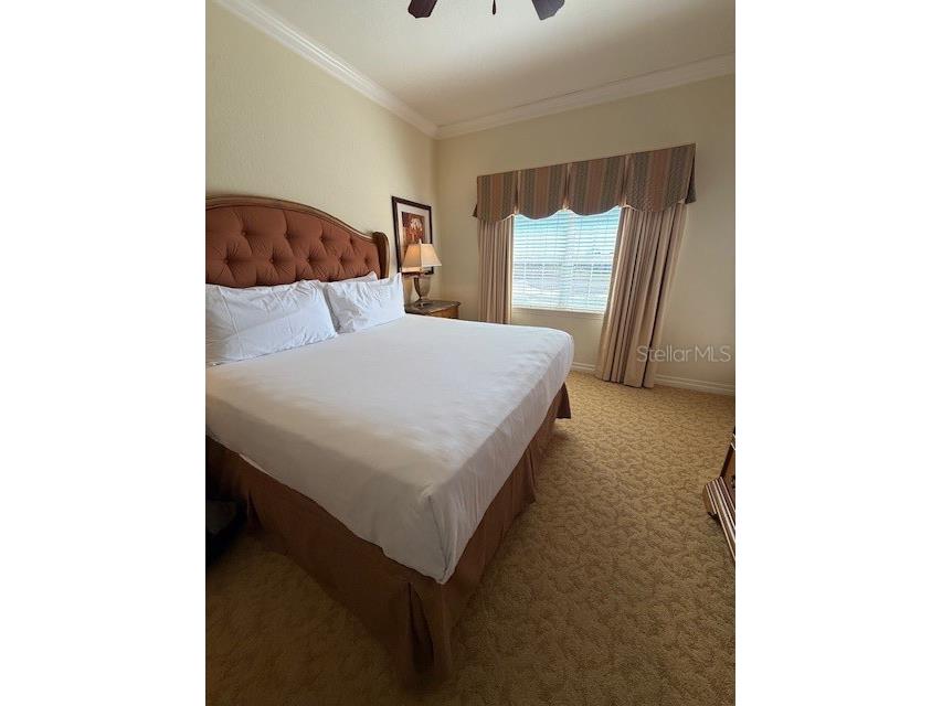 7610 Sandy Ridge Drive #304 Reunion FL 34747 TB8478502 image9