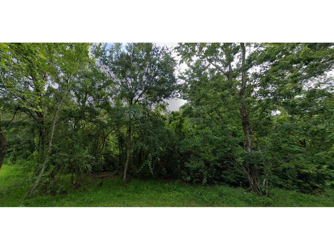 7611 Amherst Street Tampa FL 33625 O6210066 image1