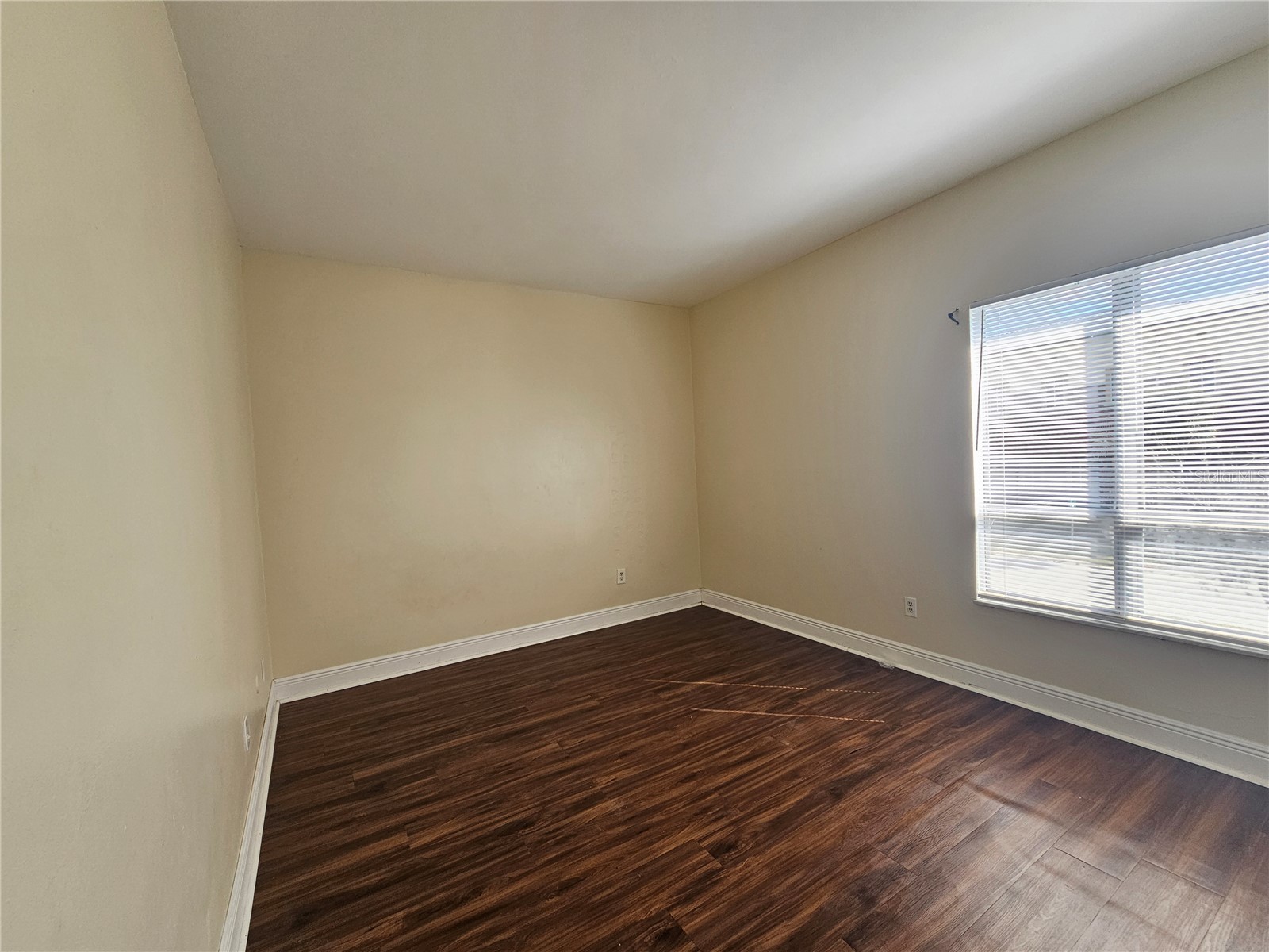 7611 Paula Drive #5 Tampa FL 33615 TB8482128 image8