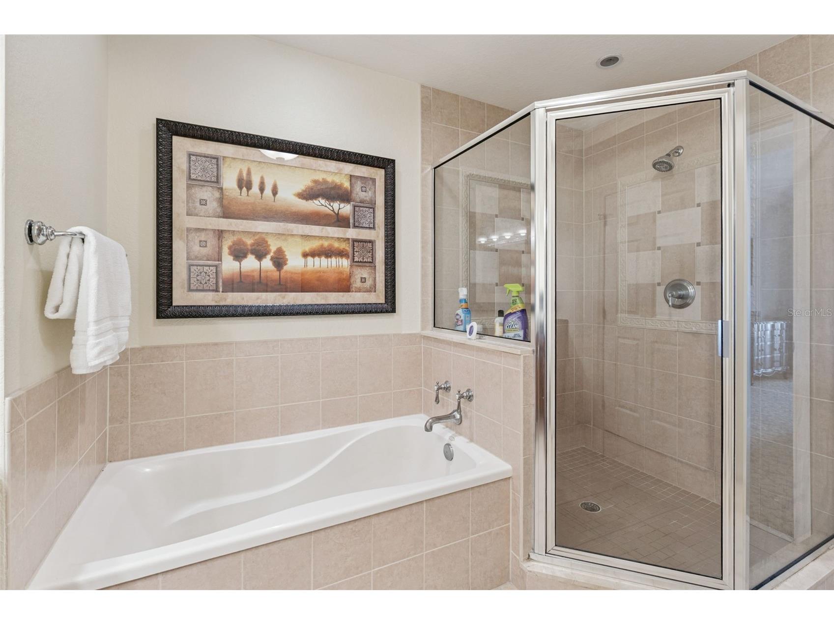 7612 Sandy Ridge Drive #303 Reunion FL 34747 G5107852 image11