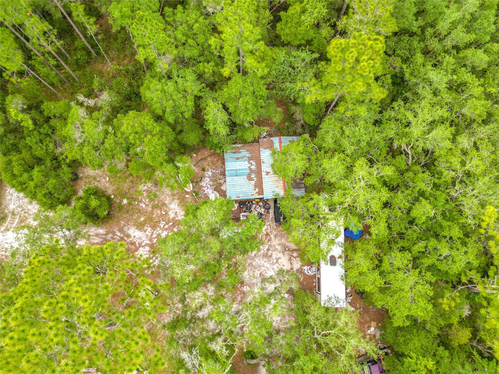 7612 SW 155th Street Dunnellon FL 34432 TB8512763 image2
