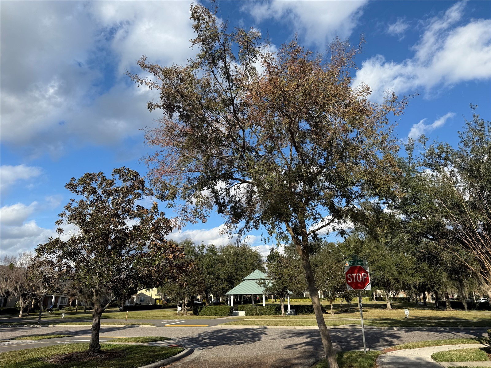 7613 Sutherton Lane Windermere FL 34786 O6374719 image25