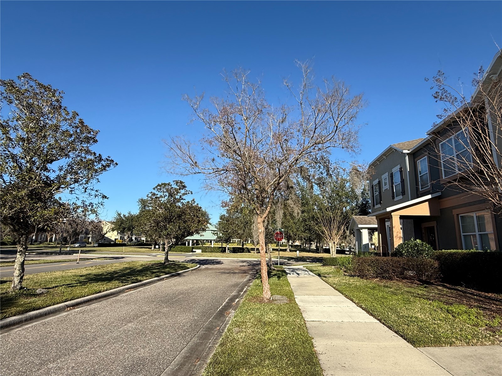 7613 Sutherton Lane Windermere FL 34786 O6374719 image3