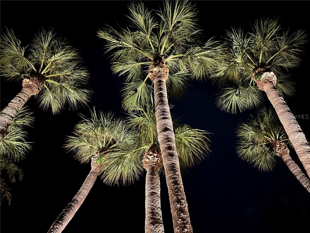 7614 Peninsular Drive Sarasota FL 34231 - LITTLE SARASOTA BAY A4653525 image51