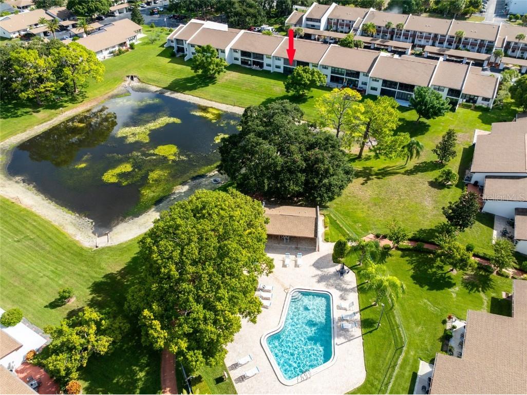 7614 Radcliffe Circle #108B Port Richey FL 34668 TB8431213 image32