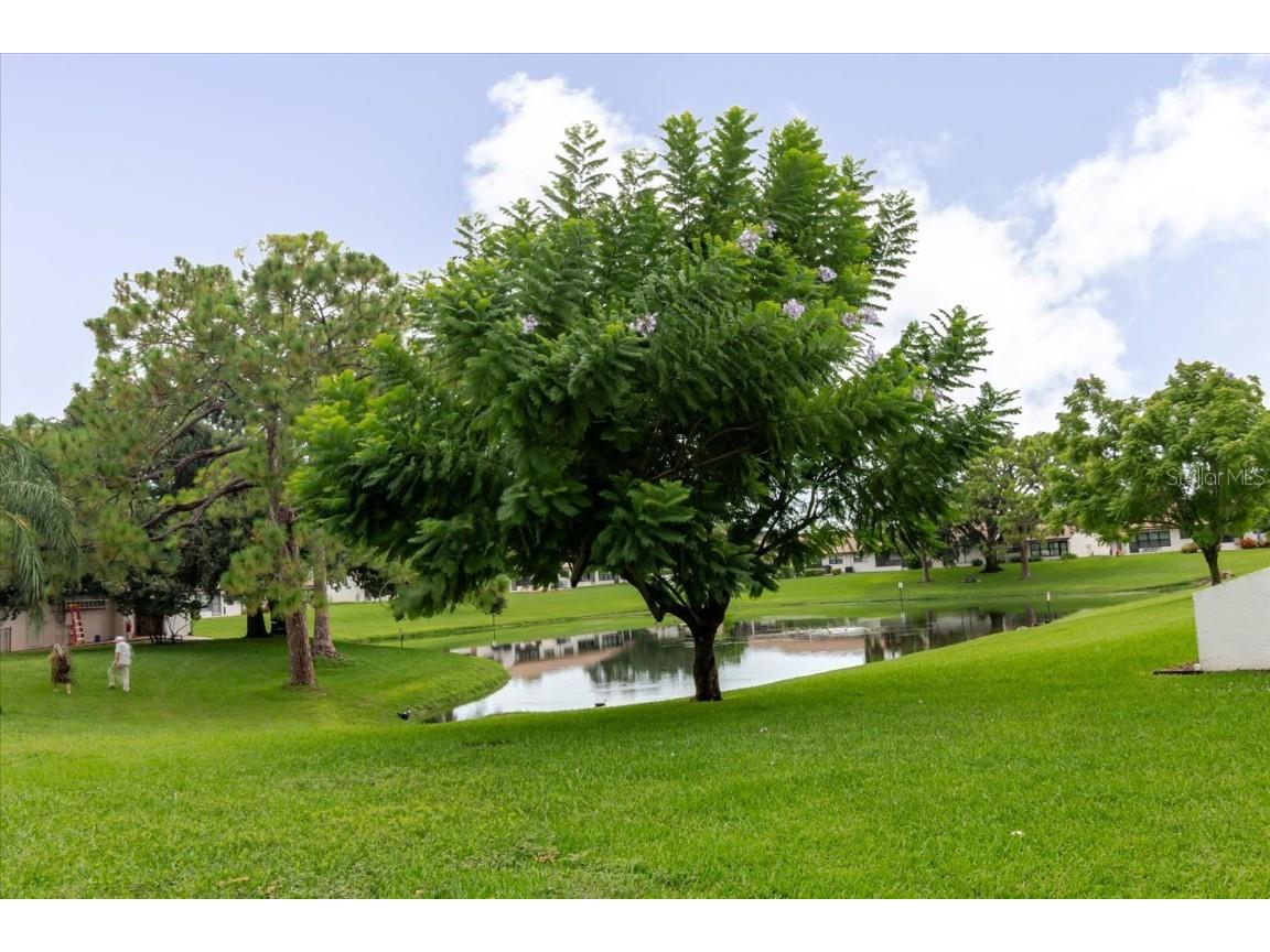 7614 Radcliffe Circle #110B Port Richey FL 34668 TB8422173 image60