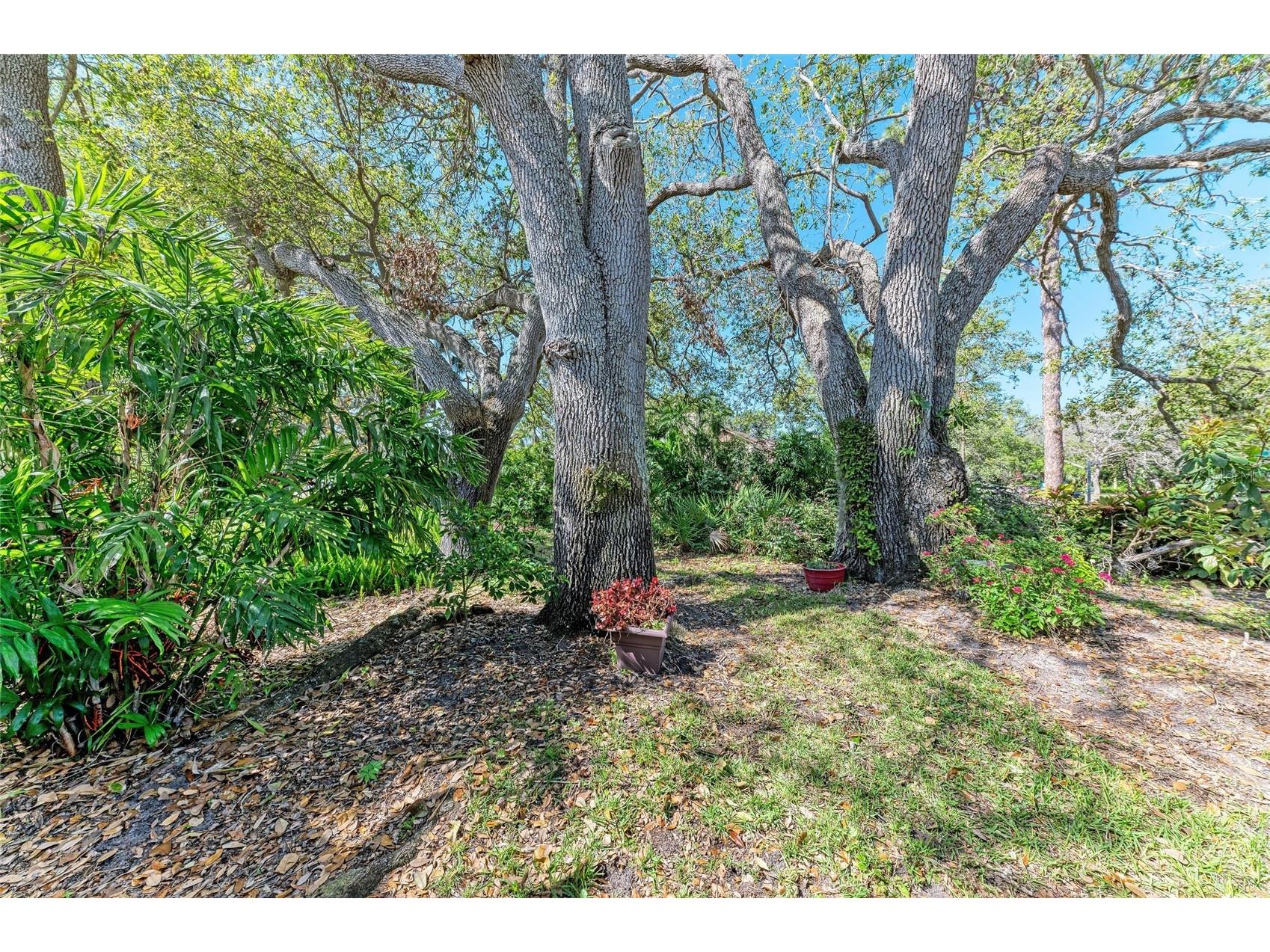 7615 4th Avenue W #7615 Bradenton FL 34209 A4676634 image31