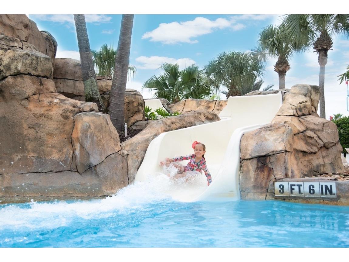 7615 Excitement Drive Reunion FL 34747 O6362658 image4