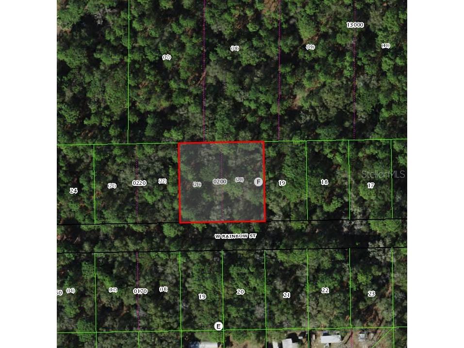 7615 W Rainbow Street Dunnellon FL 34433 O6300499 image1