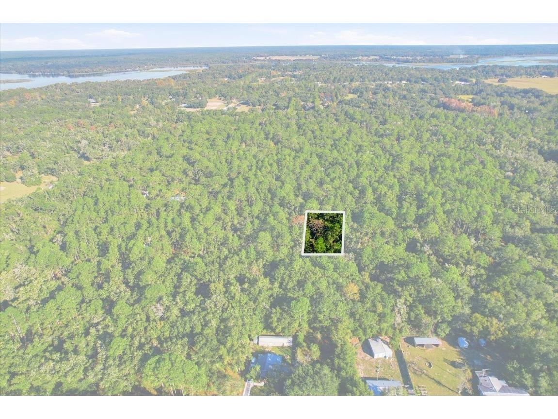 7615 W Rainbow Street Dunnellon FL 34433 TB8446483 image1