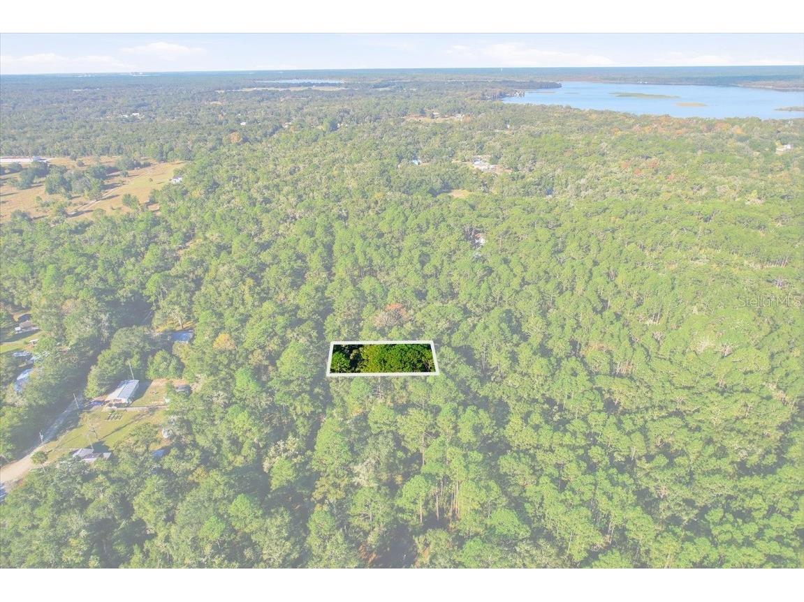 7615 W Rainbow Street Dunnellon FL 34433 TB8446483 image2