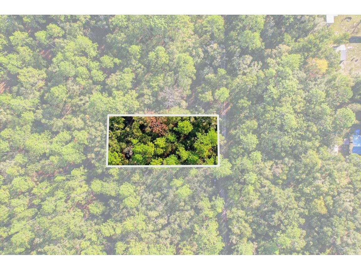 7615 W Rainbow Street Dunnellon FL 34433 TB8446483 image3