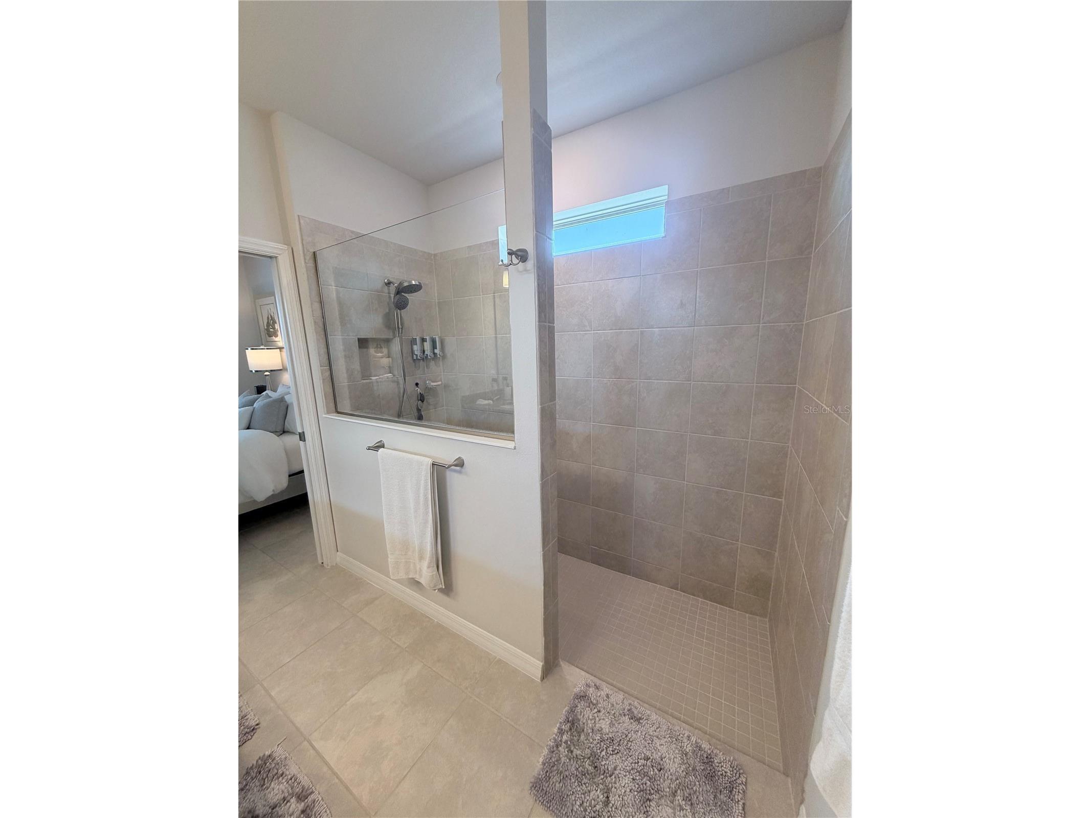 7616 Yale Harbor Drive Wesley Chapel FL 33545 TB8482092 image13