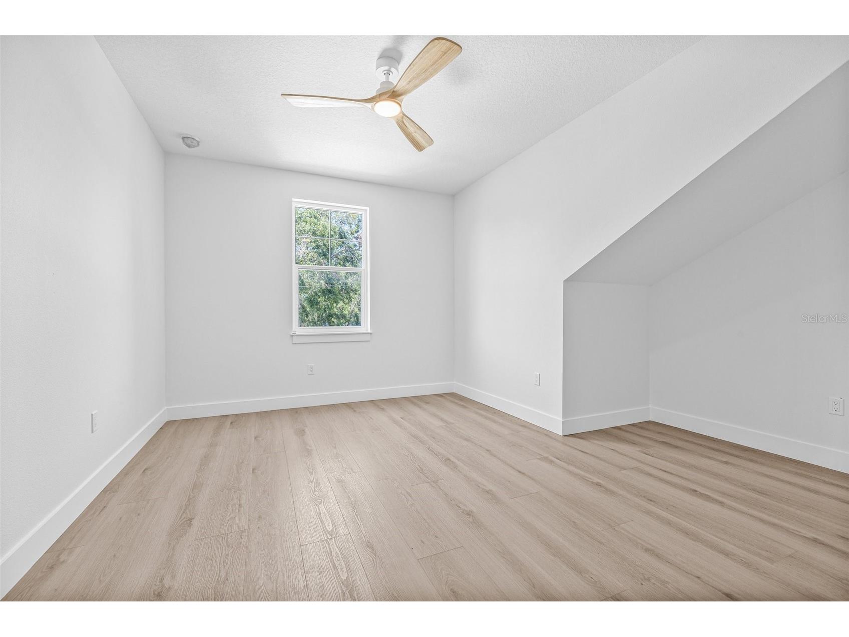 7617 Alvina Street Tampa FL 33625 TB8506849 image35
