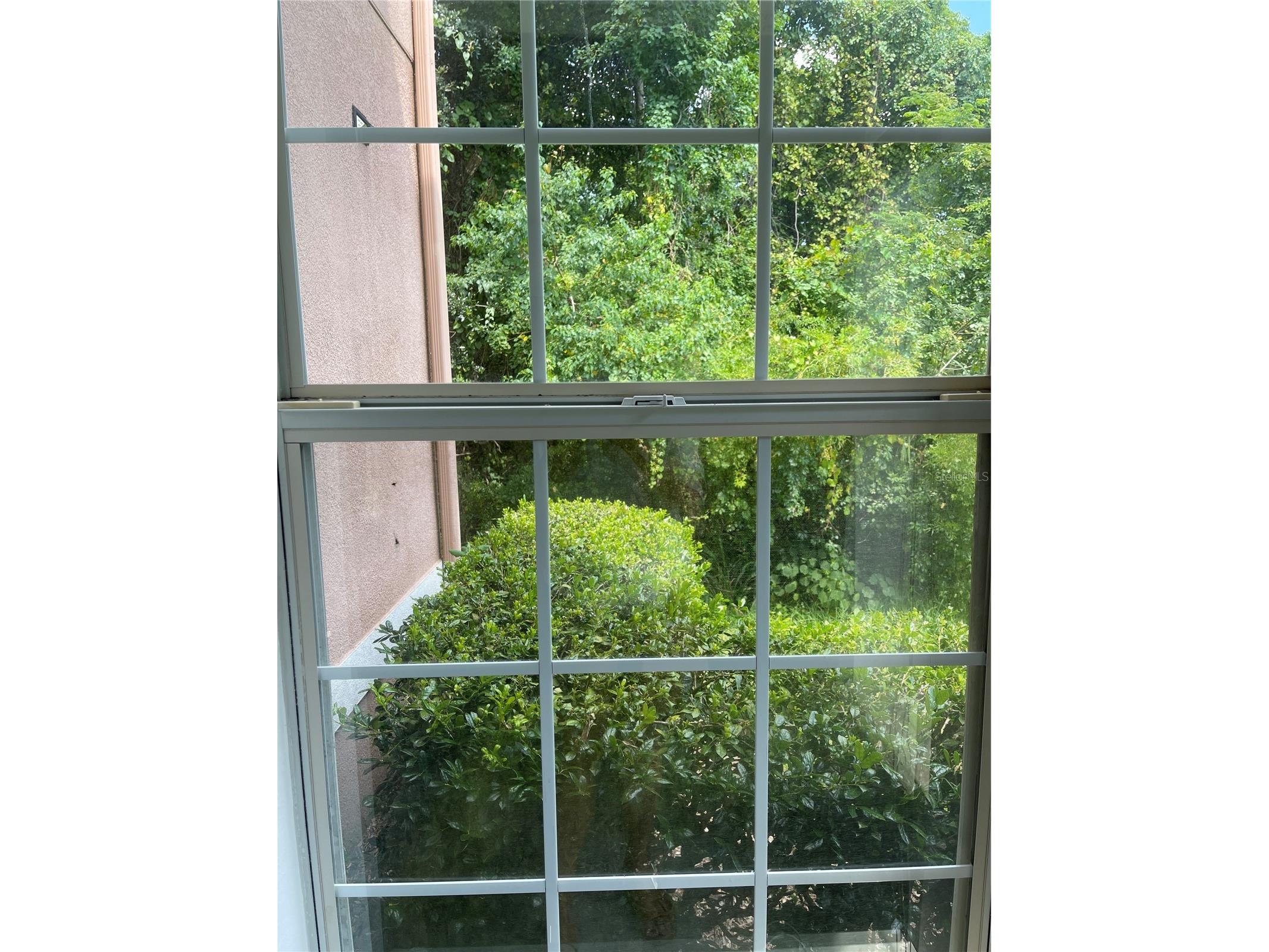 7617 Bay Port Road #57 Orlando FL 32819 O6385269 image36