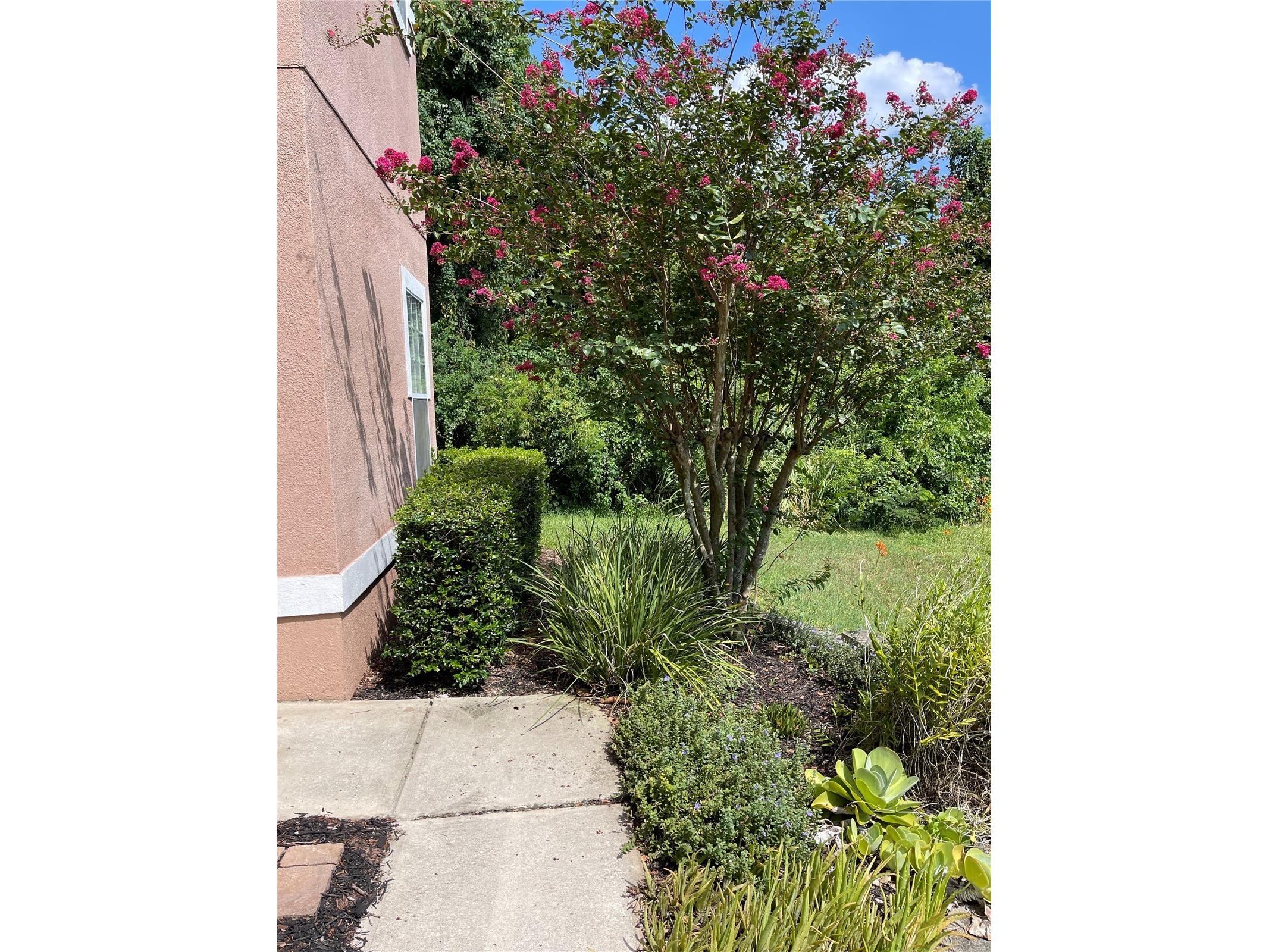 7617 Bay Port Road #57 Orlando FL 32819 O6385269 image4