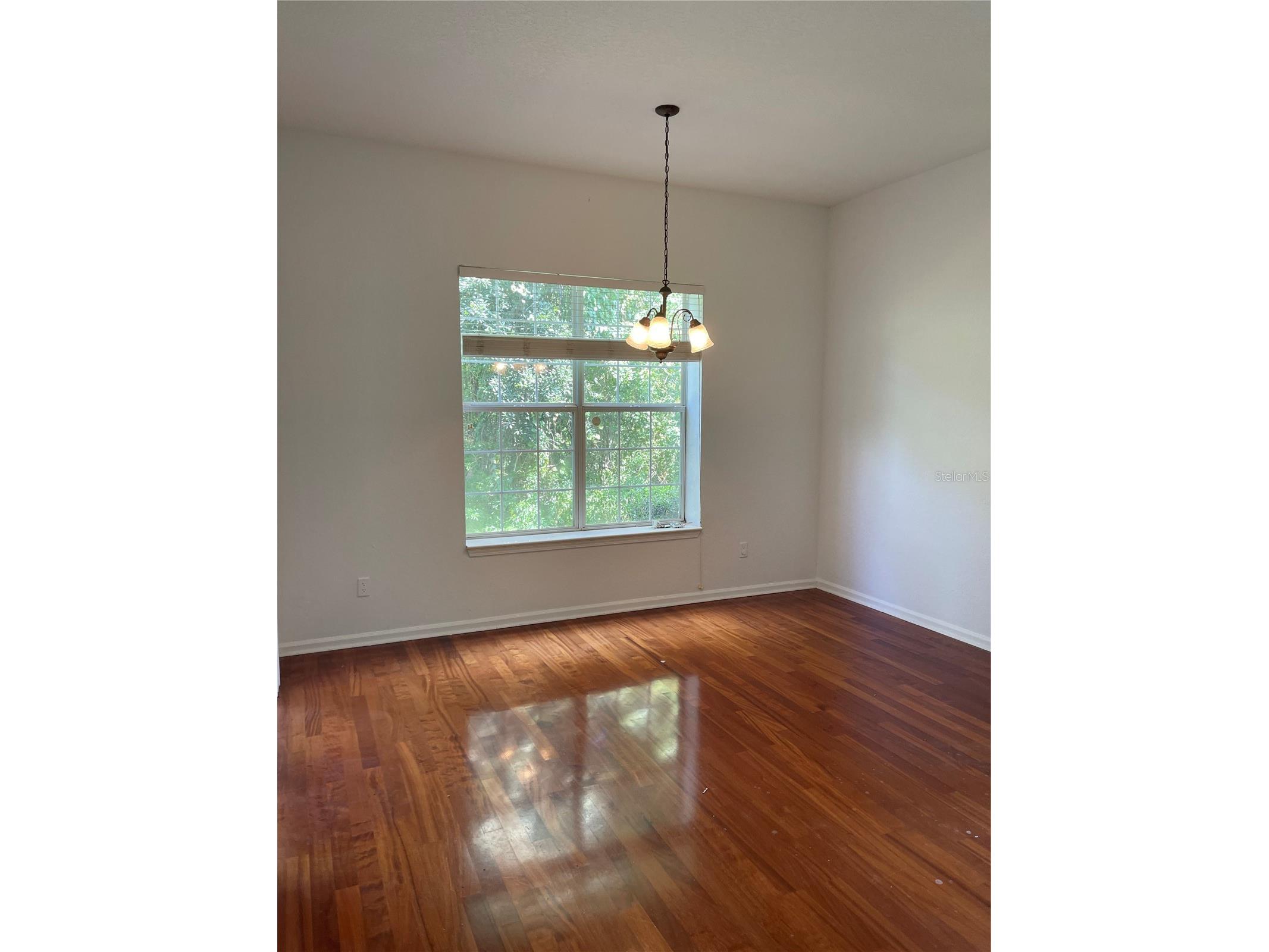 7617 Bay Port Road #57 Orlando FL 32819 O6385269 image7