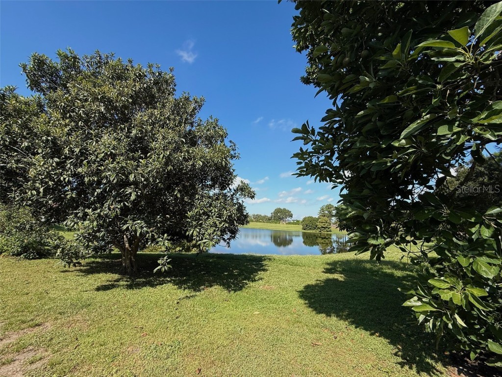 7617 Mount Carmel Drive Orlando FL 32835 O6356787 image24