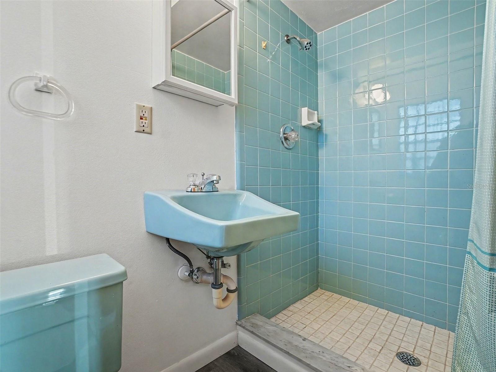 7618 Waunatta Court Winter Park FL 32792 V4946886 image25