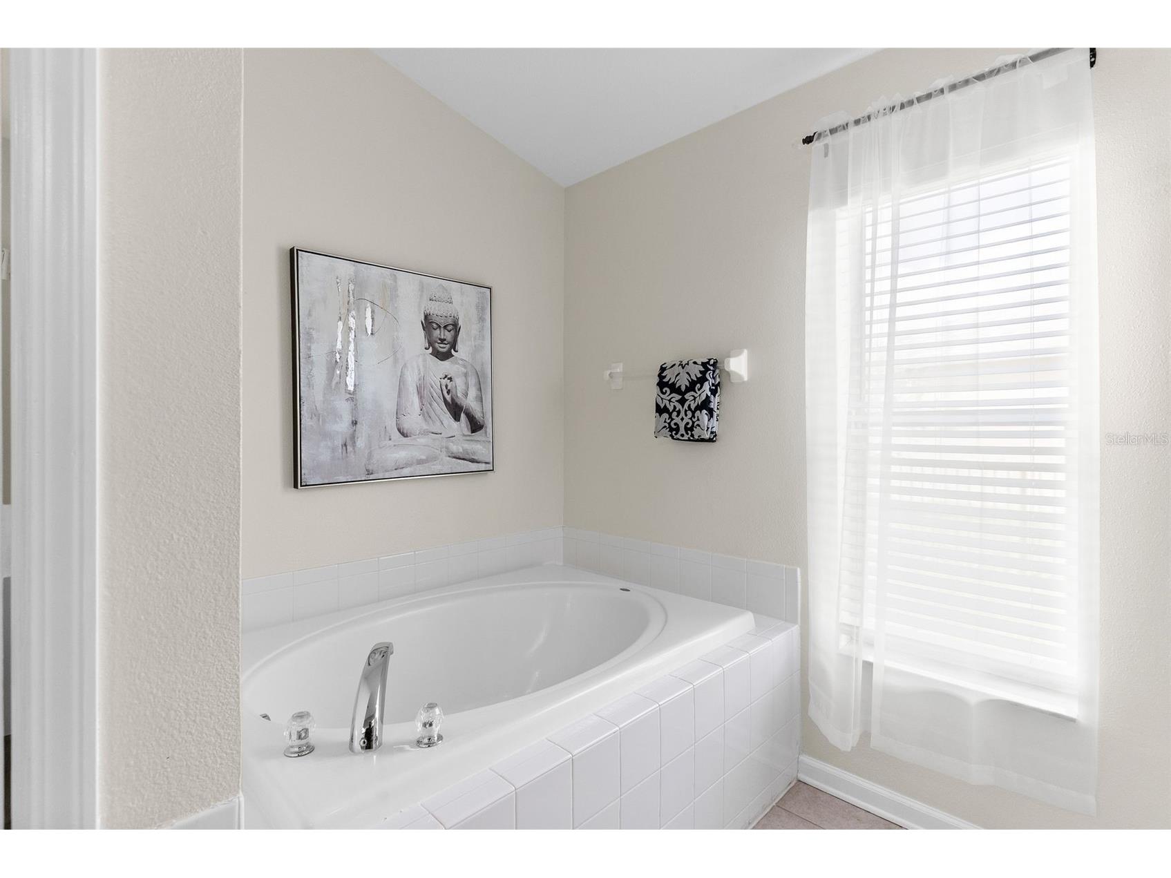 7619 Crescent Palm Drive Wesley Chapel FL 33545 TB8501900 image23