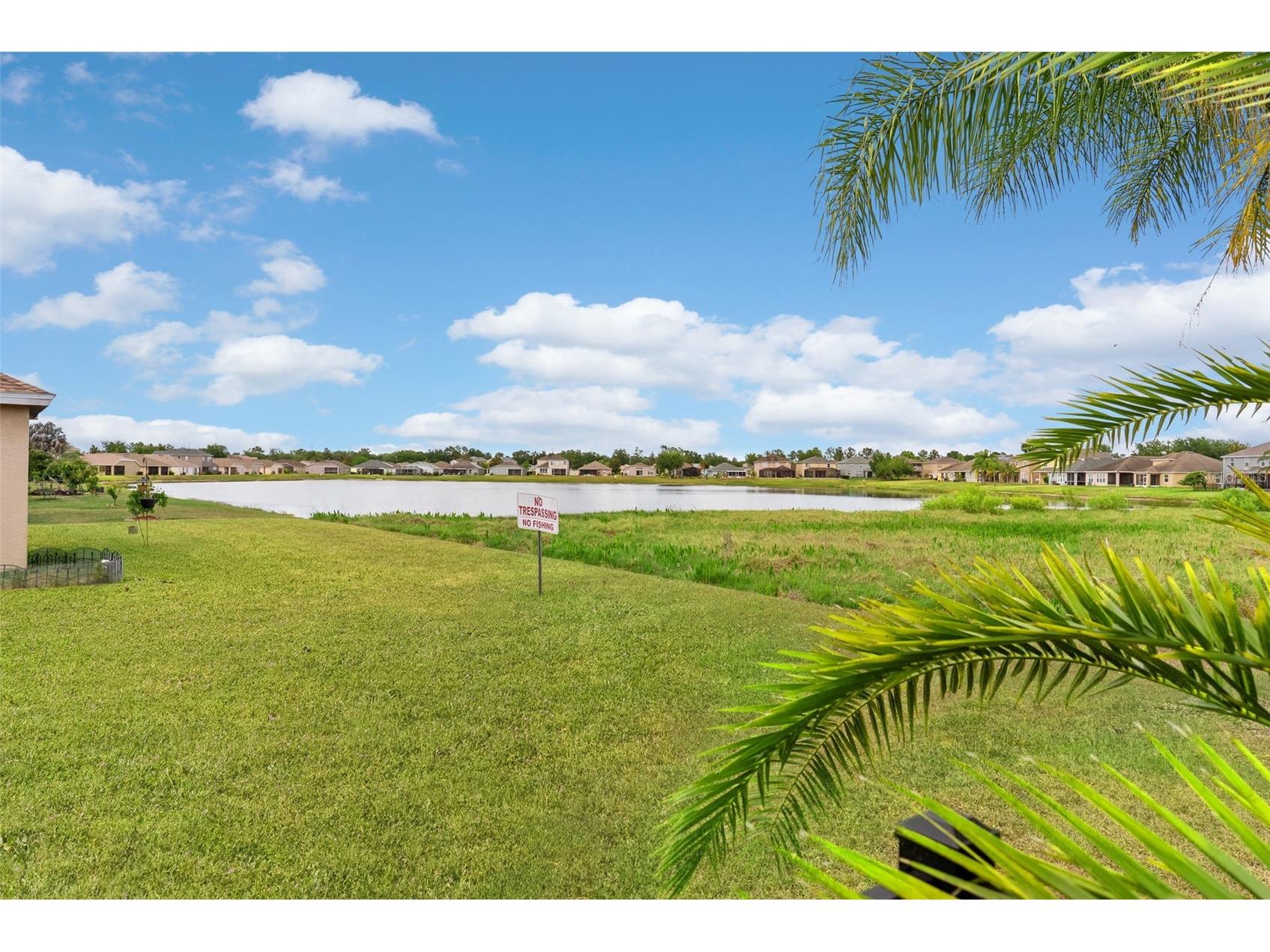 7619 Crescent Palm Drive Wesley Chapel FL 33545 TB8501900 image35