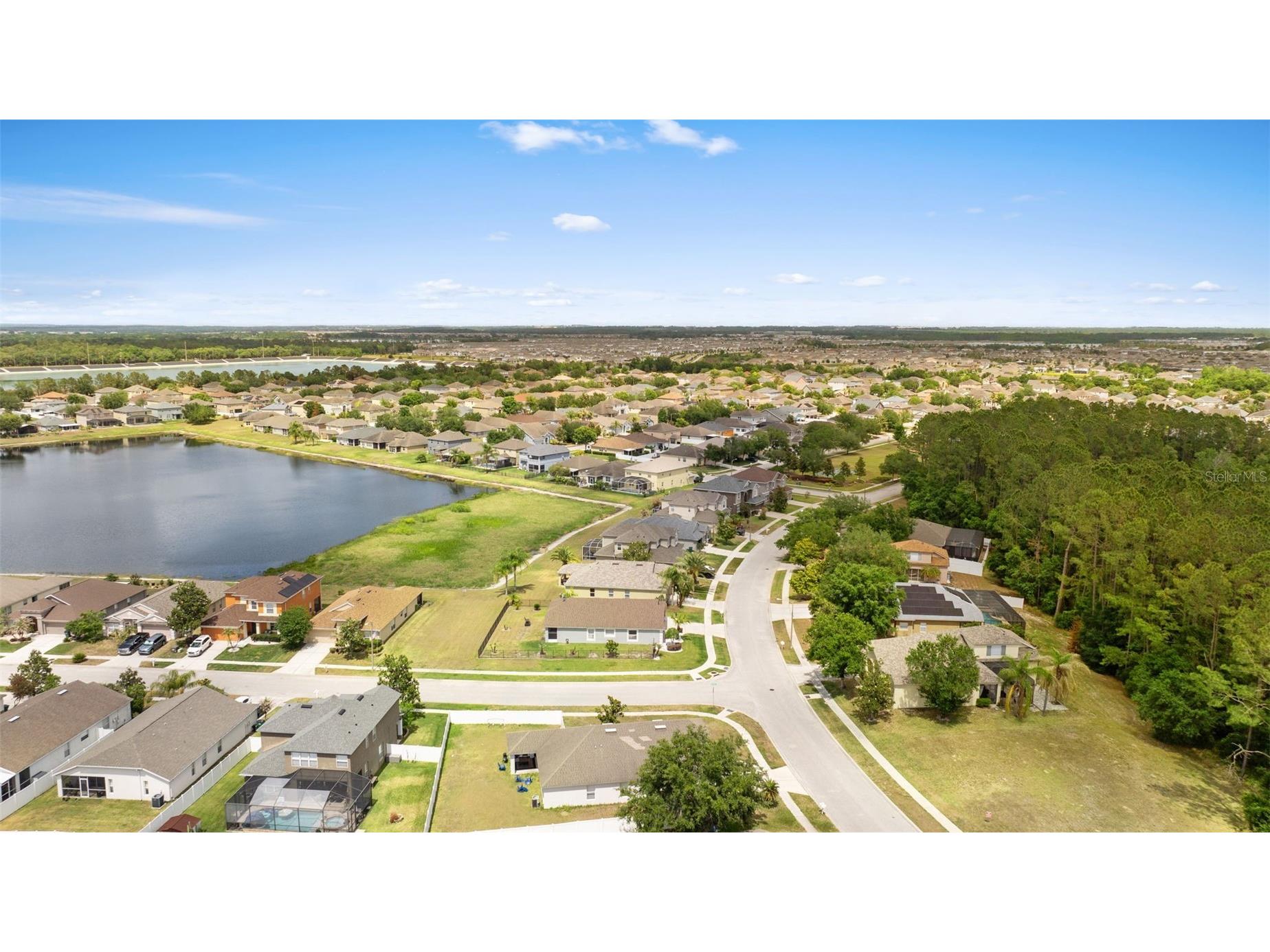 7619 Crescent Palm Drive Wesley Chapel FL 33545 TB8501900 image41