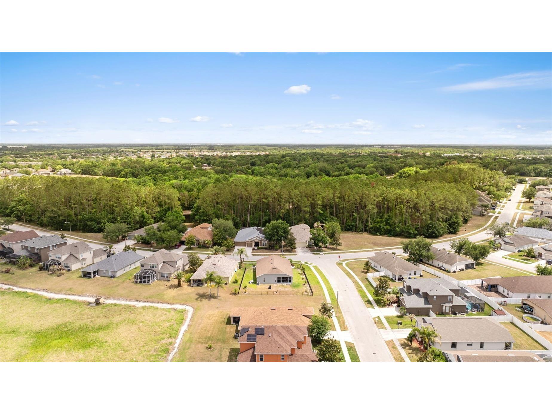 7619 Crescent Palm Drive Wesley Chapel FL 33545 TB8501900 image43