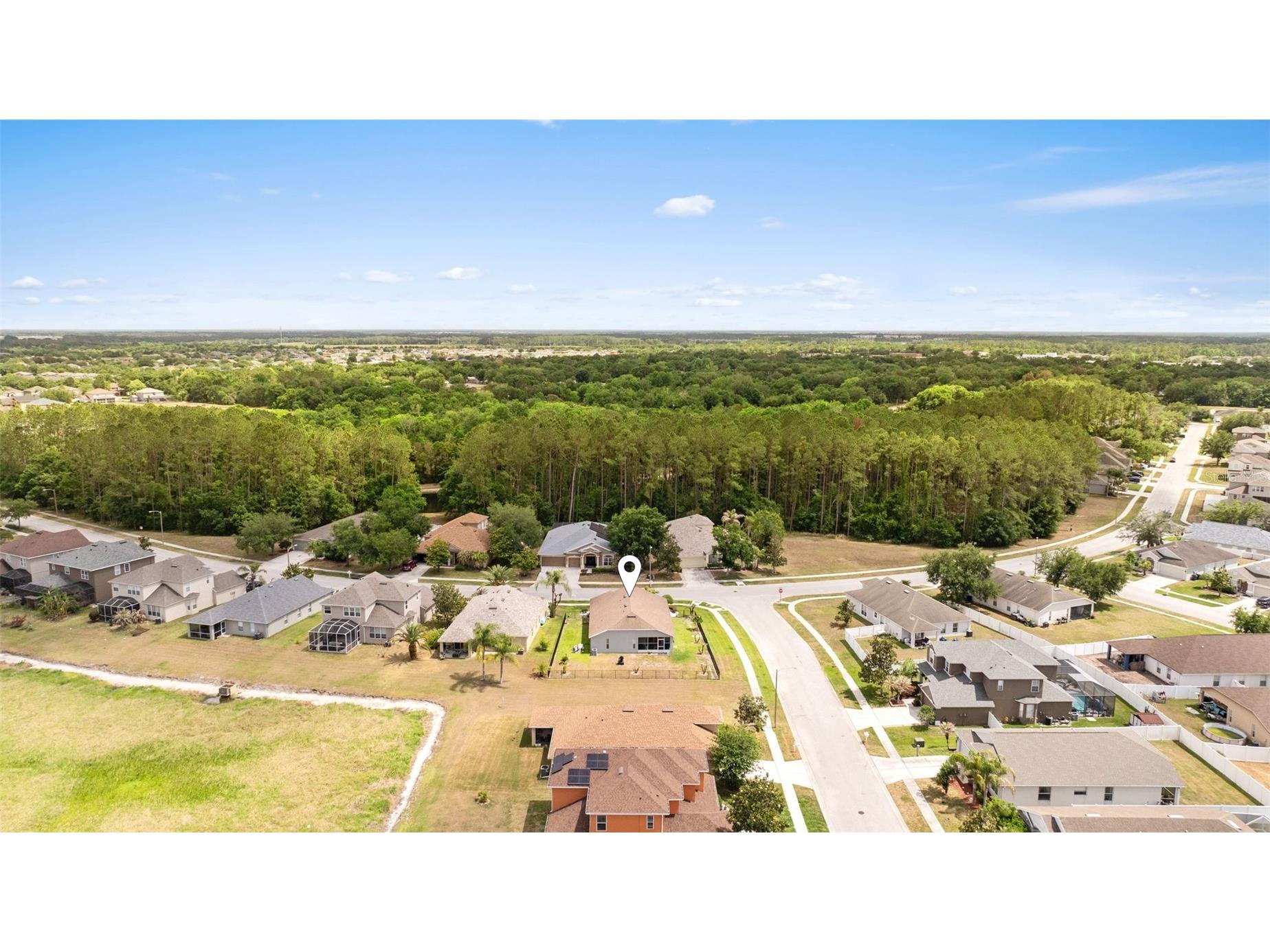 7619 Crescent Palm Drive Wesley Chapel FL 33545 TB8501900 image44
