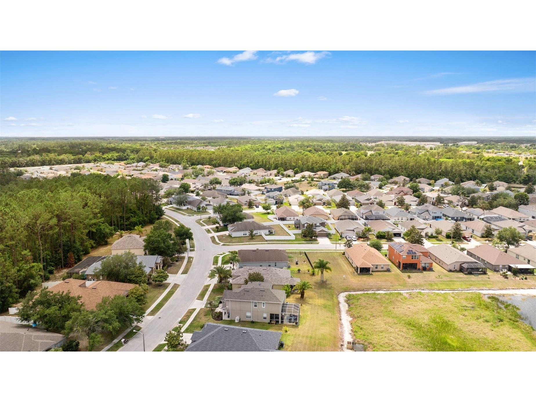 7619 Crescent Palm Drive Wesley Chapel FL 33545 TB8501900 image45
