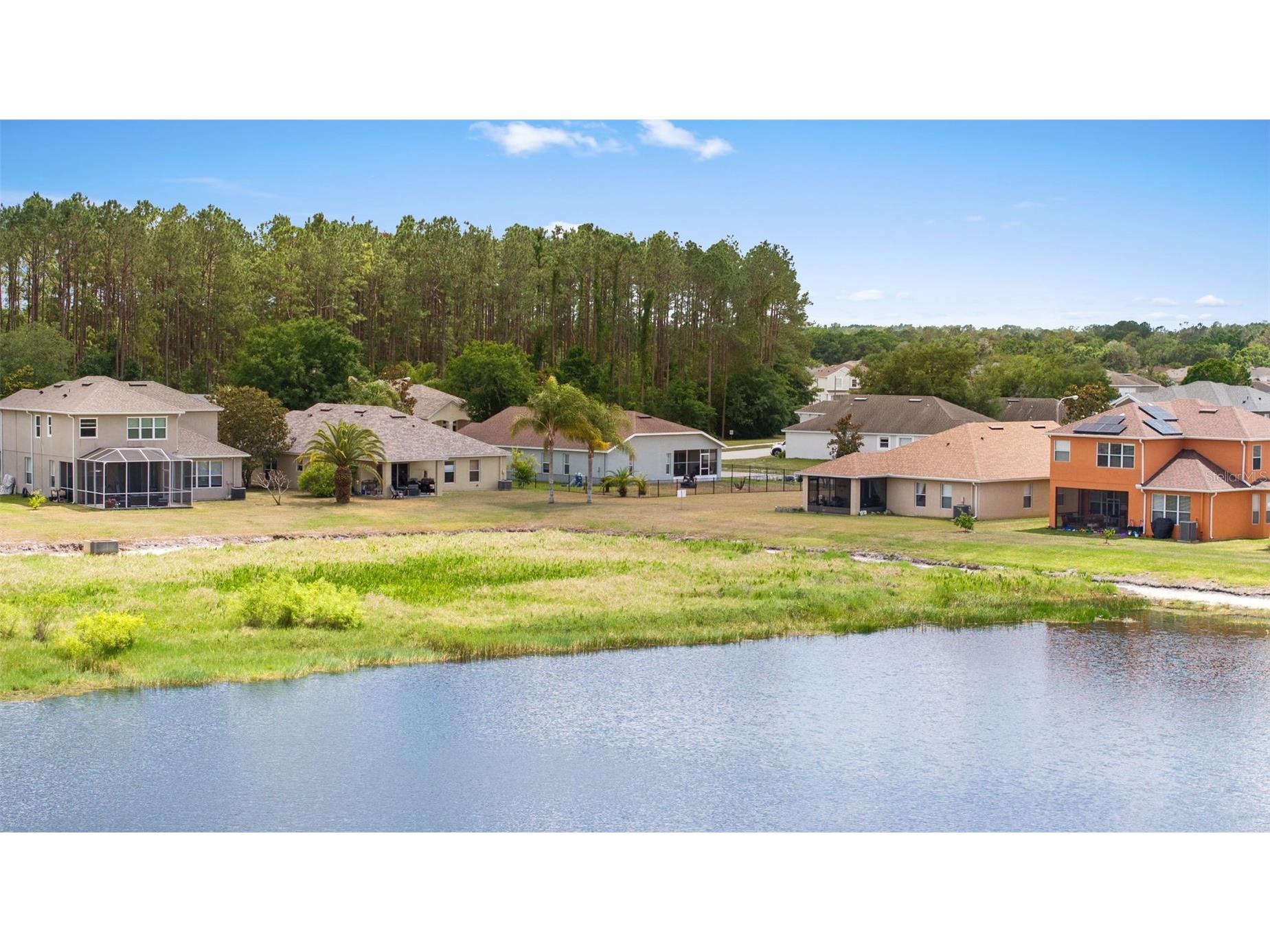 7619 Crescent Palm Drive Wesley Chapel FL 33545 TB8501900 image49