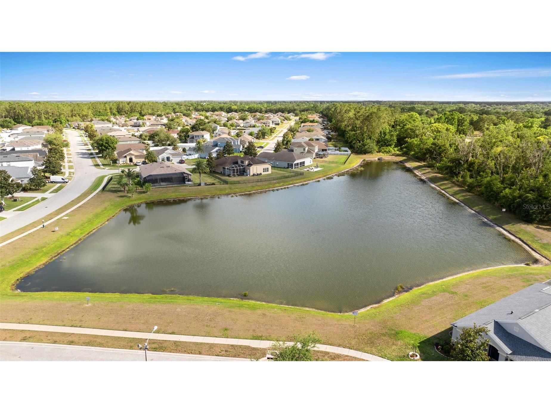 7619 Crescent Palm Drive Wesley Chapel FL 33545 TB8501900 image52