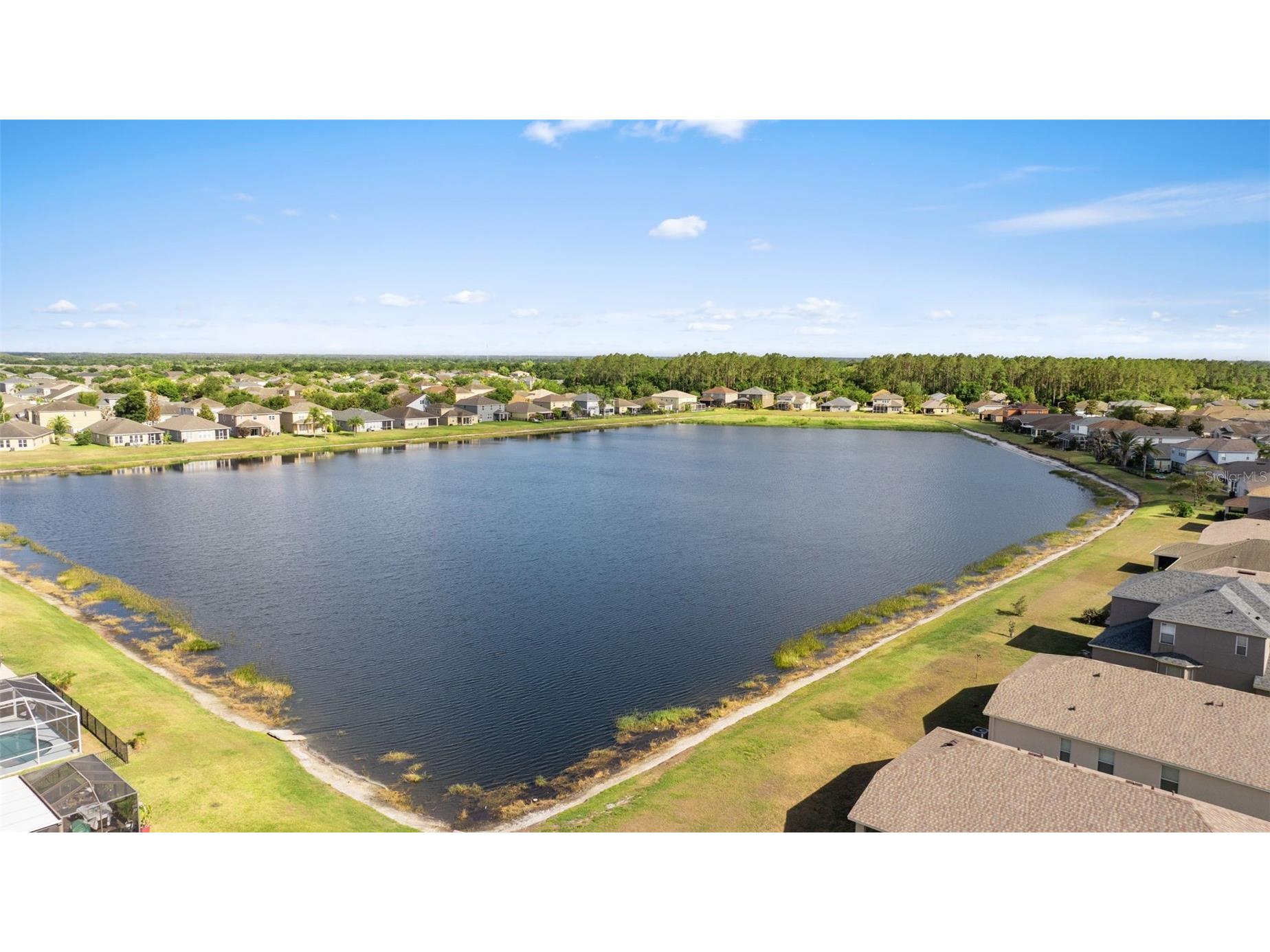 7619 Crescent Palm Drive Wesley Chapel FL 33545 TB8501900 image53