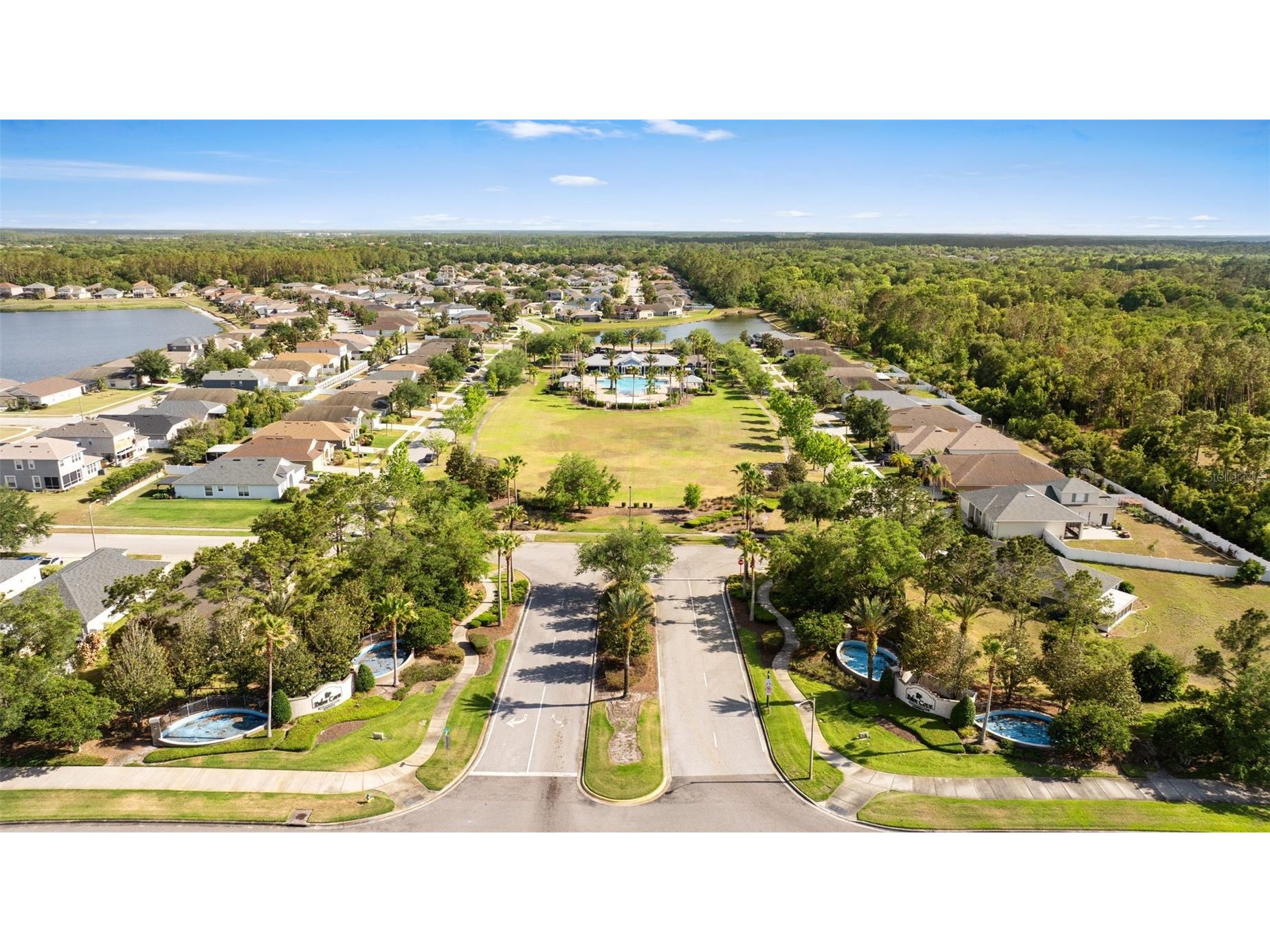 7619 Crescent Palm Drive Wesley Chapel FL 33545 TB8501900 image54