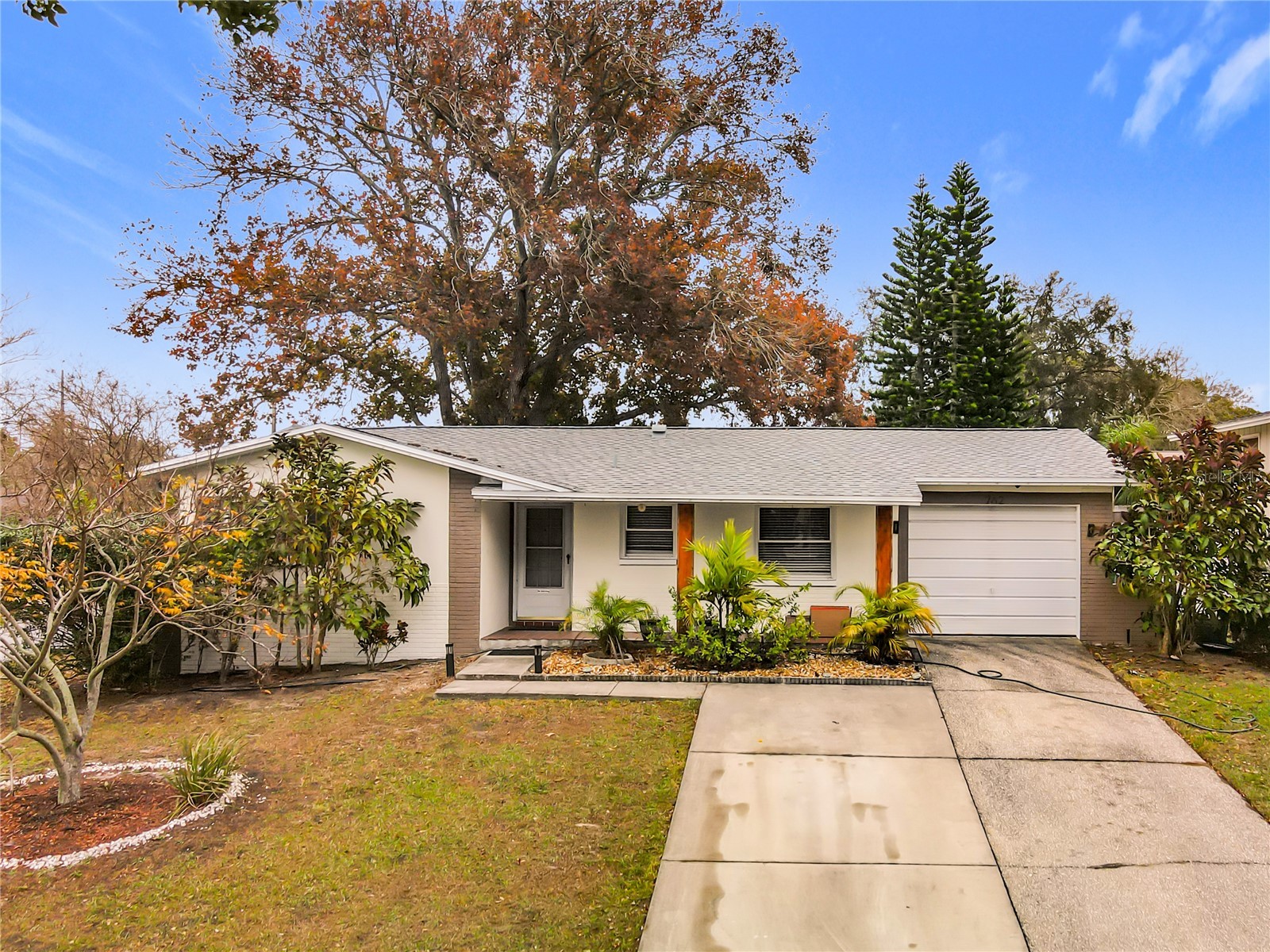 762 Barbara Street Palm Harbor FL 34684 S5142700 image1