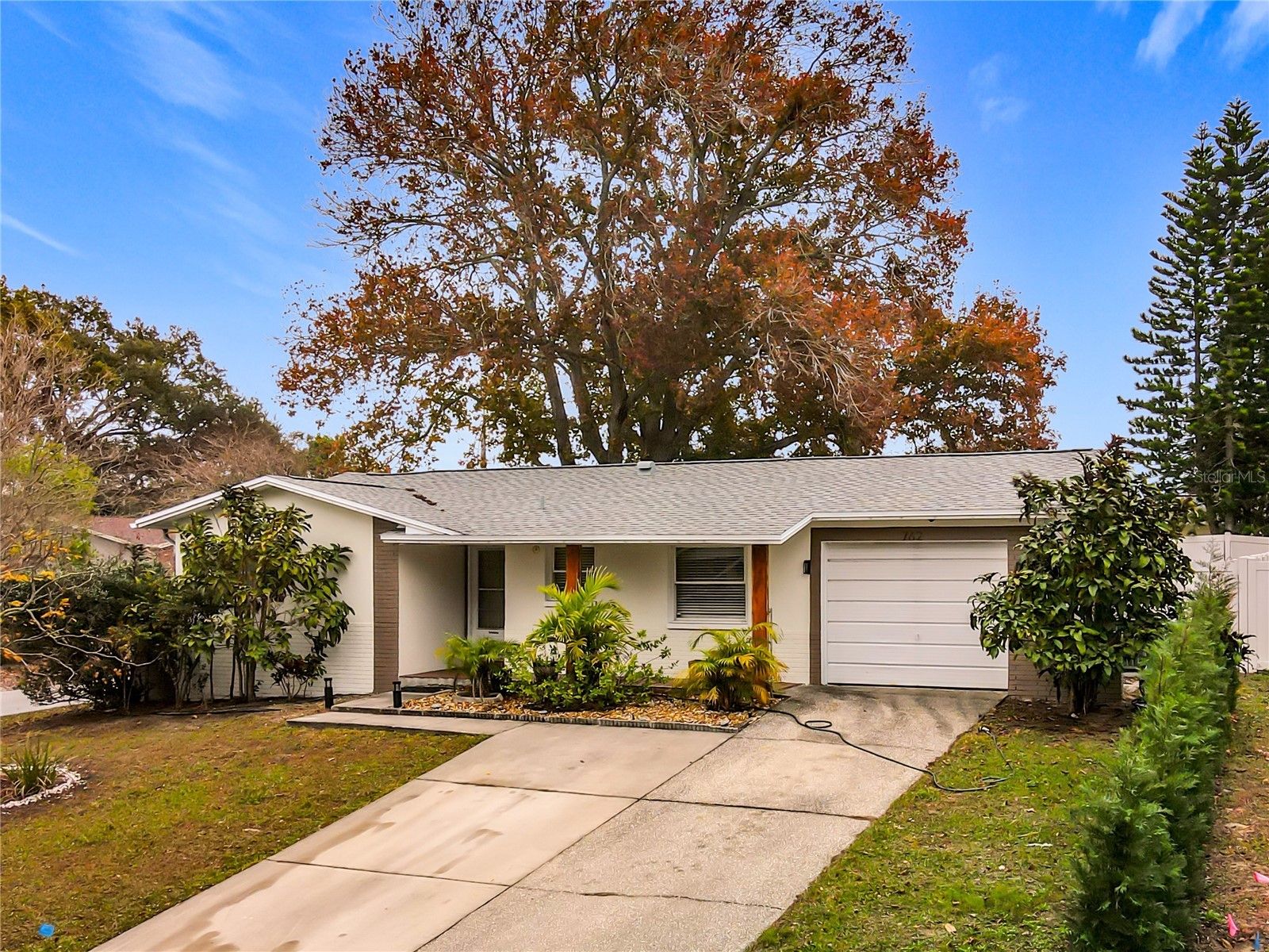 762 Barbara Street Palm Harbor FL 34684 S5142700 image2