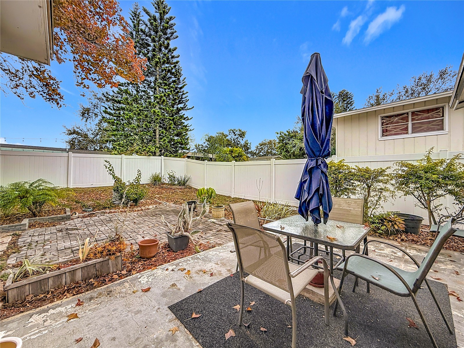 762 Barbara Street Palm Harbor FL 34684 S5142700 image31