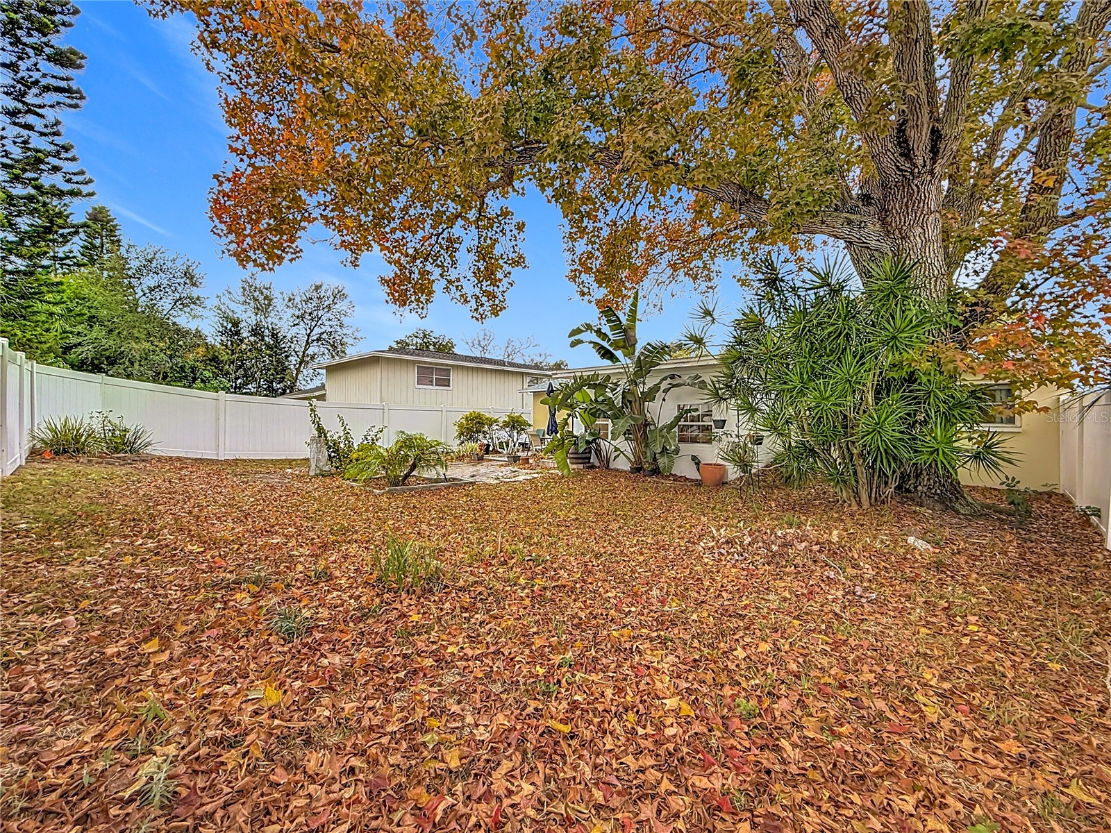 762 Barbara Street Palm Harbor FL 34684 S5142700 image33