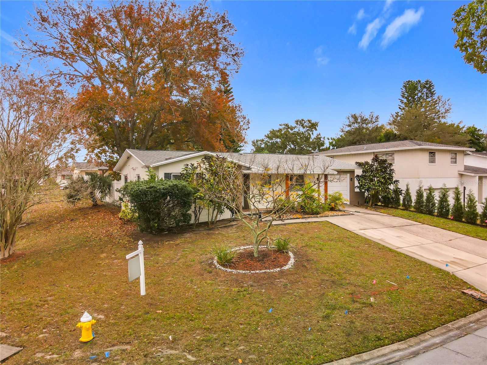 762 Barbara Street Palm Harbor FL 34684 S5142700 image6